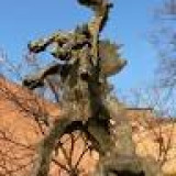 W odwiedzinach u Smoka Wawelskiego, czerwiec 2014