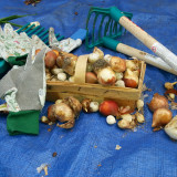 Harmonogram wrzesień 2021