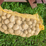 Święto Ziemniaka, 9 października