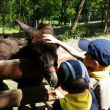 Wycieczka do Zwierzyńca Kopytkowo w Izdebniku, maj 2015