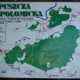 Izba Leśna w Niepołomicach, lipiec 2015