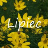Lipiec w Bajkowej Krainie