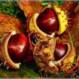 Harmonogram październik 2023