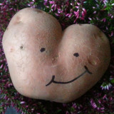 Dzień Pieczonego Ziemniaka, październik 2015