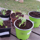 Harmonogram kwiecień 2024