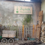 Żywa Pracownia, 8 marca