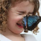 Wizyta niezwykłych gości.Egzotyczne motyle w naszym przedszkolu.