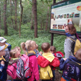 Projekt leśny – piknik w Puszczy Niepołomickiej