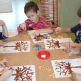 Dzień Drzewa, październik 2016