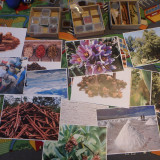 Przyprawy z Przedszkolnej Manufaktury, listopad 2016