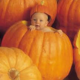 Harmonogram listopad 2023