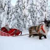 Wioska Świętego Mikołaja, Laponia – warsztaty podróżnicze