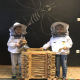 Edukacja przyrodnicza – poznajemy pszczoły