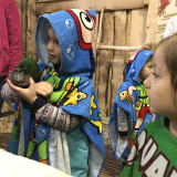 Papugarnia Amazonia – luty 2018