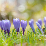 Harmonogram wydarzeń w kwietniu