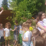 Robimy tlen- drzewa dla Krakowa, zajęcia edukacyjne