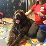 Woodie w Bajkowej Krainie