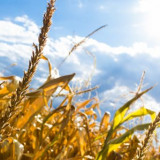 Harmonogram sierpień 2023