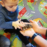 Nasza piękna jesień, żywa lekcja przyrody