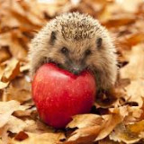 Harmonogram wydarzeń w listopadzie