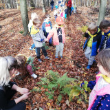 Izba Leśna i ścieżka dydaktyczna, Puszcza Niepołomicka październik 2018