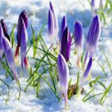 Harmonogram marzec 2021