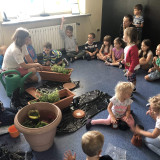 Projekt Kwiaty, lipiec 2019