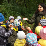 Wielka Wyprawa Odkrywców, sensoryczny spacer po lesie