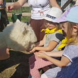 Wycieczka inauguracyjna nowy rok przedszkolny – Alpaca Home