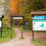 Puszcza Niepołomicka – ścieżka dydaktyczna