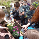 Zmysły w Lesie opowiadają o pszczołach